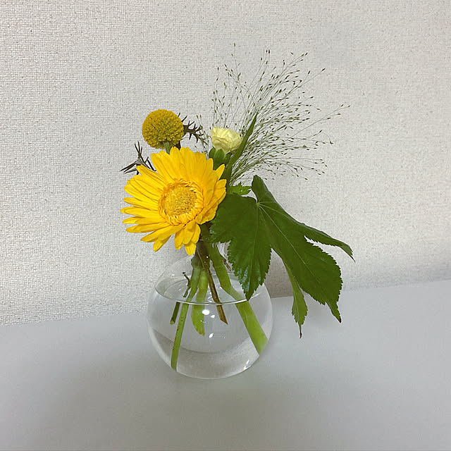 popapopoさんの実例写真