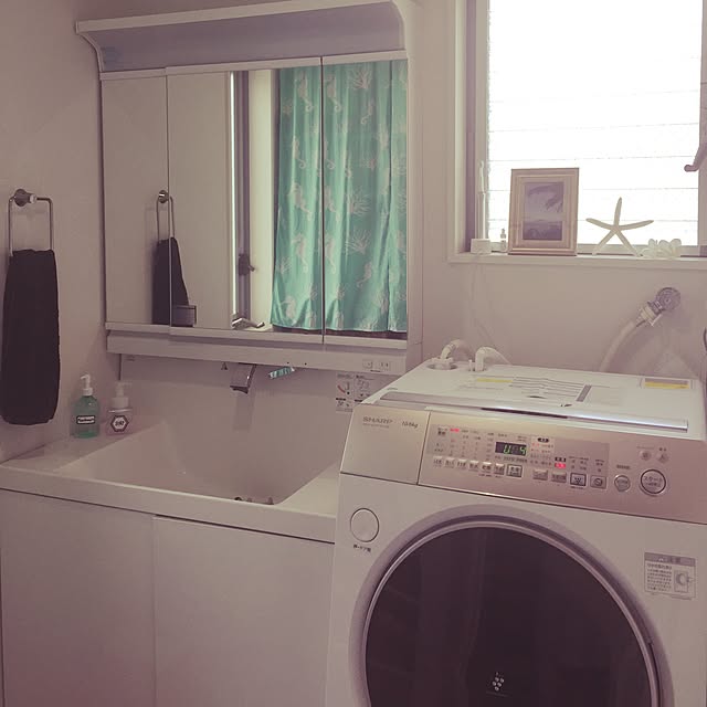 daizyさんの実例写真