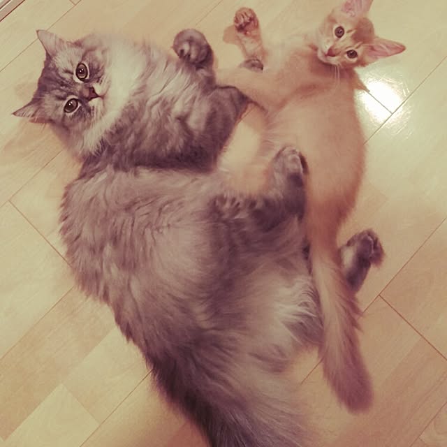 tetoさんの実例写真