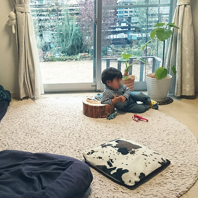 soraさんの実例写真