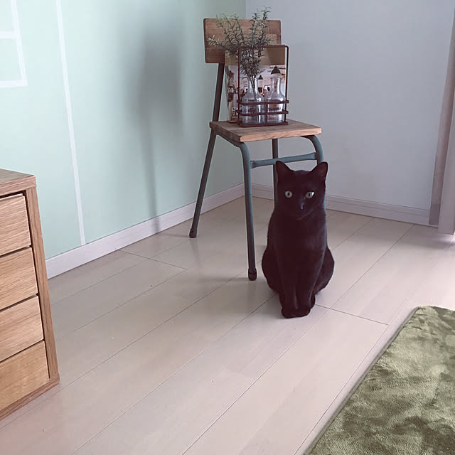 Kaoさんの実例写真