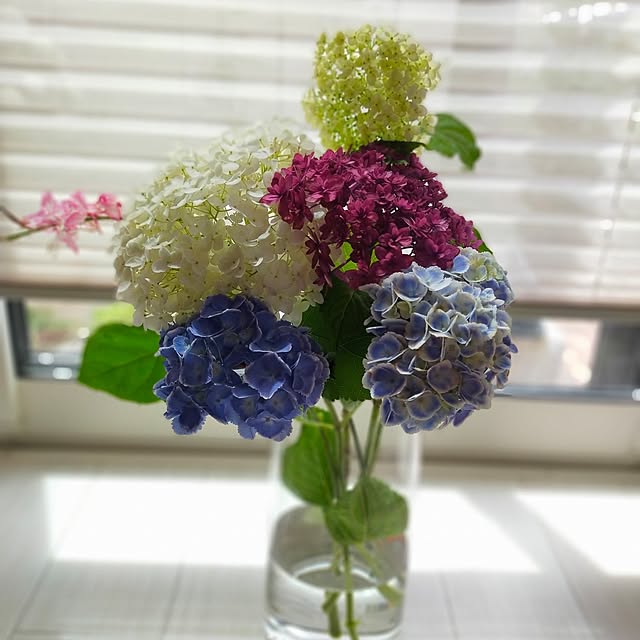 ayaさんの実例写真