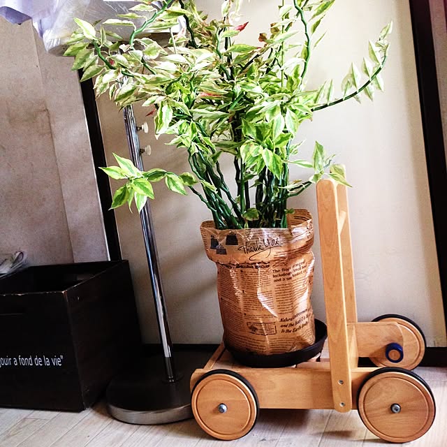 玄関/入り口/観葉植物/大銀竜のインテリア実例 - 2014-11-13 13:24:12