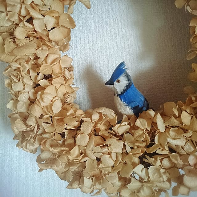 SATOMIさんの実例写真