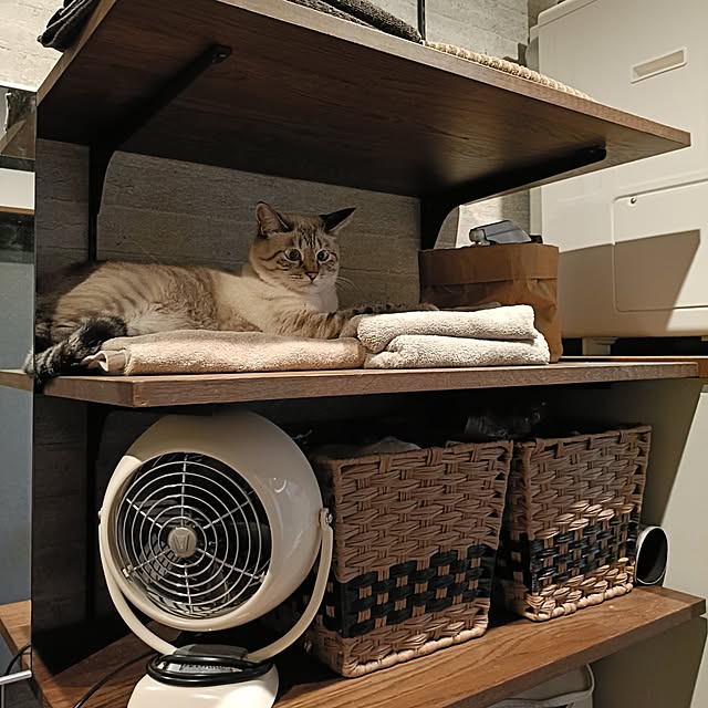Atelier_tamakiさんの実例写真