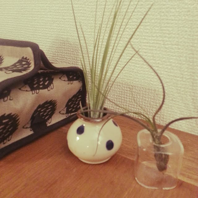 Ayakoさんの実例写真