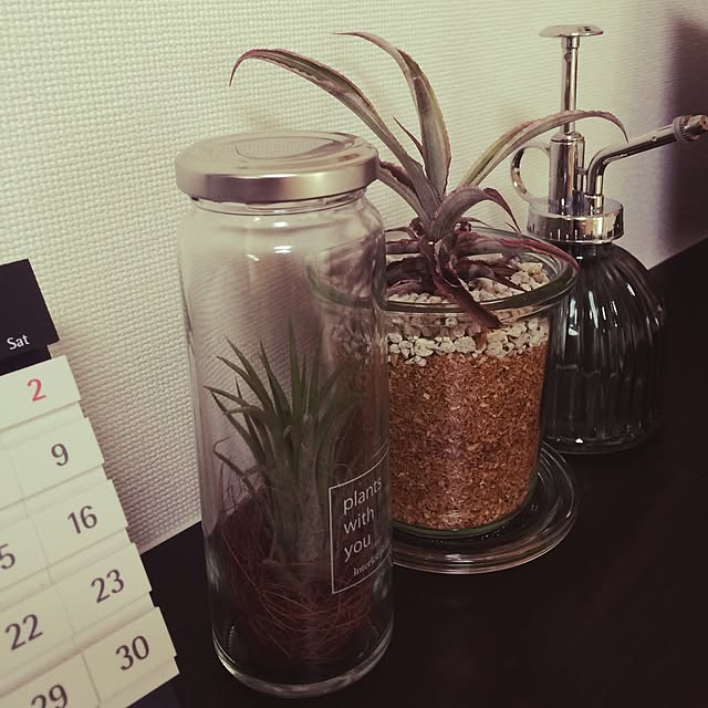 chiさんの実例写真