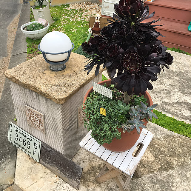 31さんの実例写真