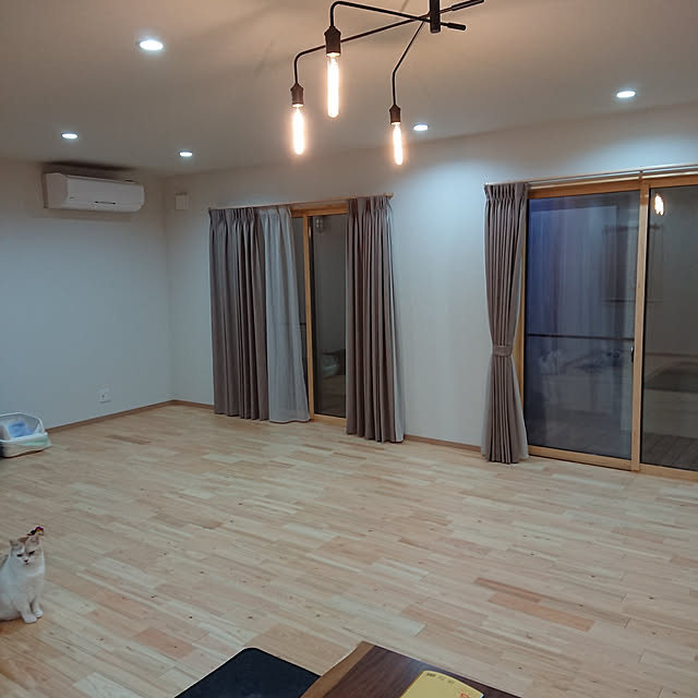 部屋全体のインテリア実例 - 2019-11-27 15:32:27