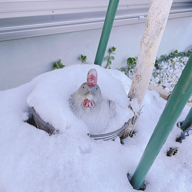 akiko-ovさんの部屋