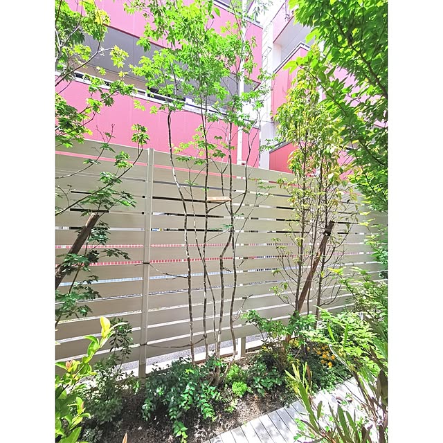 monchanさんの実例写真