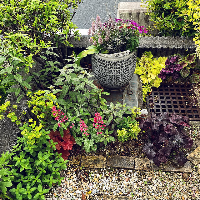 yukarin-gardenさんの部屋