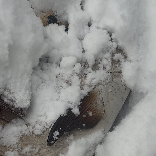 takakuzenさんの部屋