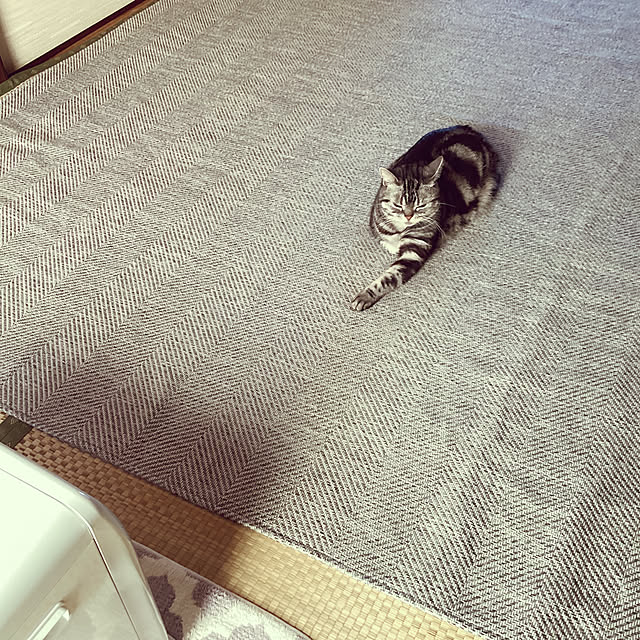 richanさんの実例写真