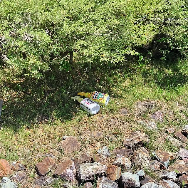 marronさんの部屋