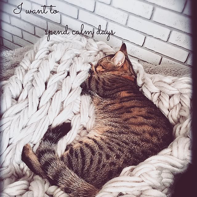 nodokaさんの実例写真