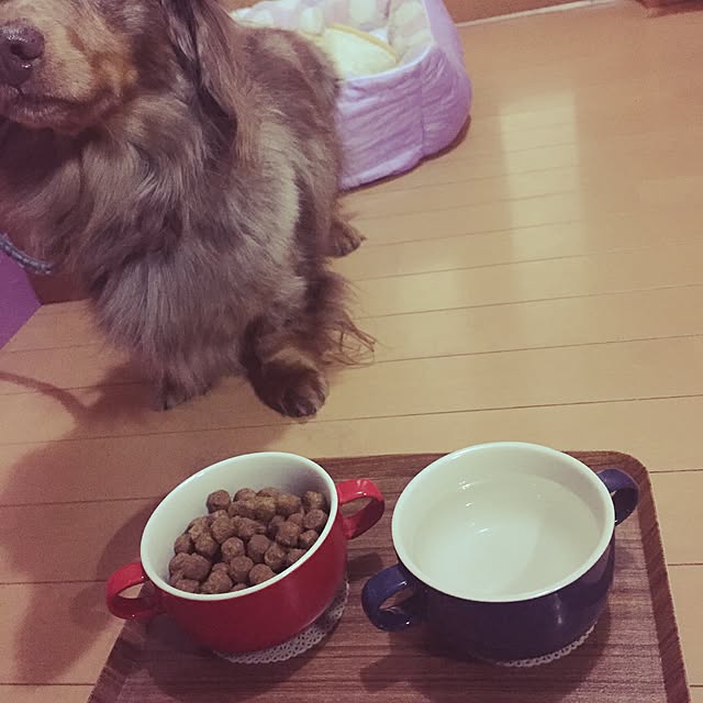 Sakikoさんの実例写真