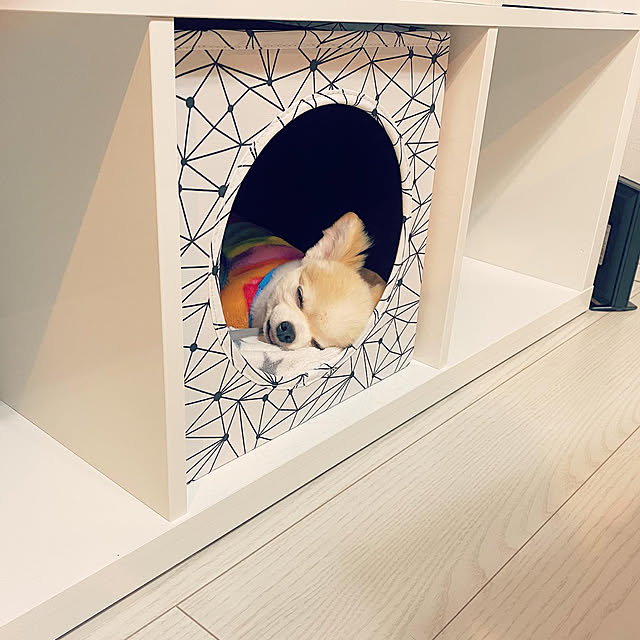 RiEさんの実例写真