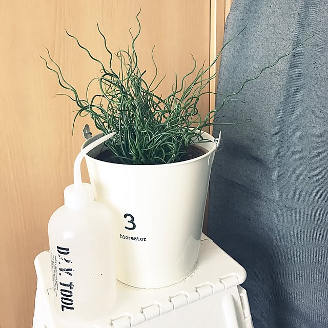 powakyonさんの実例写真