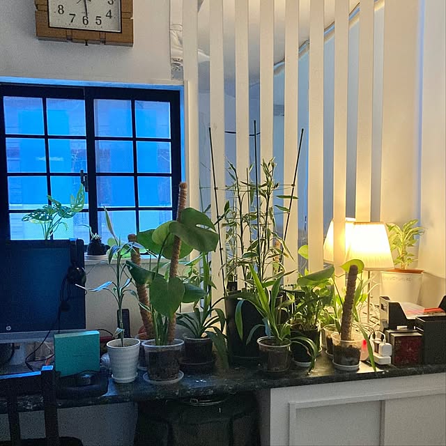 MOMOMAMAさんの実例写真