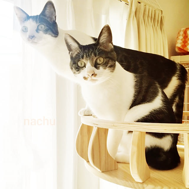 nachuさんの実例写真