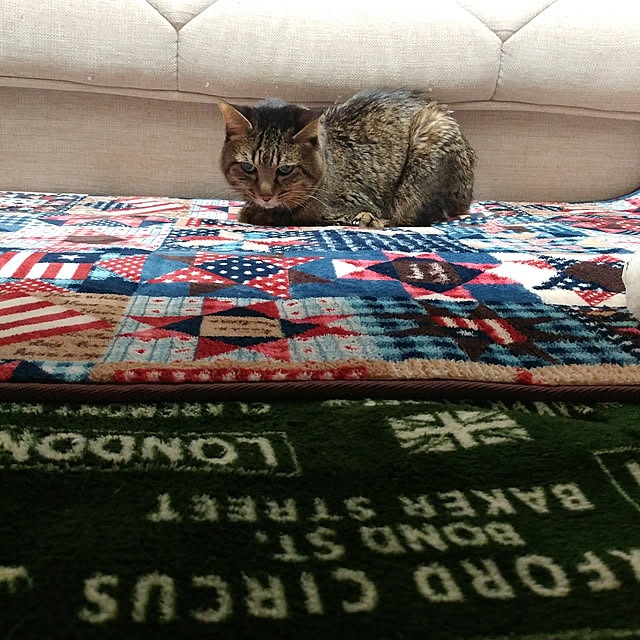 kittenblueさんの実例写真