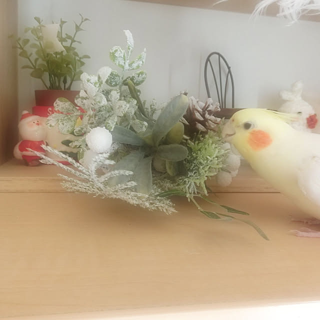 toratanさんの実例写真