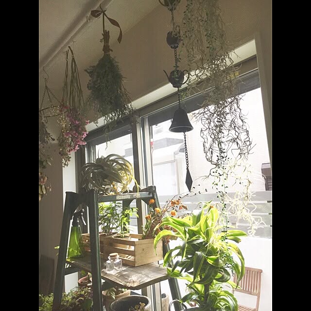 cocco0505さんの実例写真