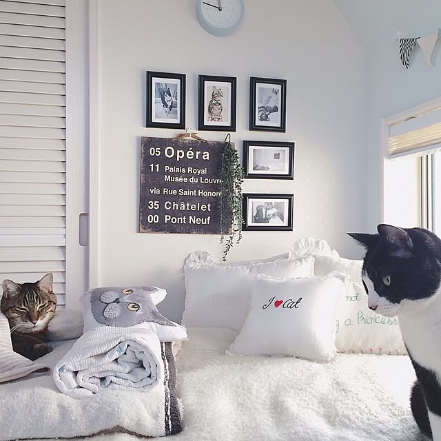 lovecatさんの実例写真