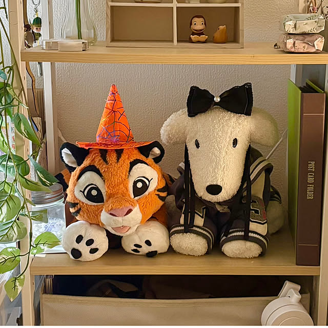 KNさんの実例写真