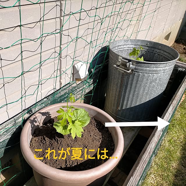 michiさんの実例写真