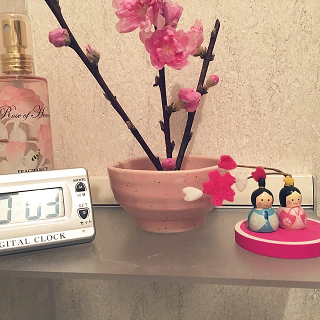azukiさんの実例写真
