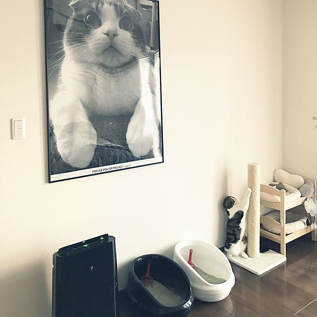 tansukeさんの実例写真