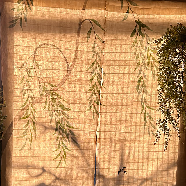 akaidarumaさんの部屋