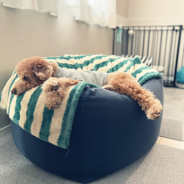 nanさんの実例写真