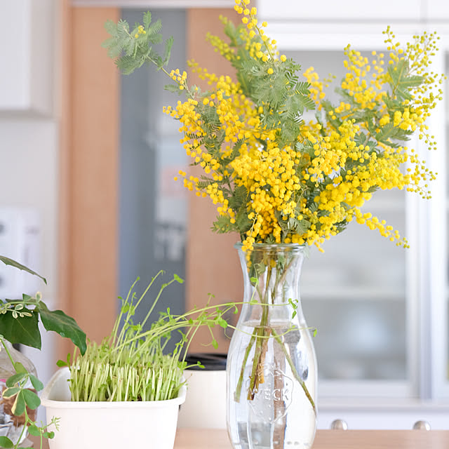 pyokopyokopさんの実例写真