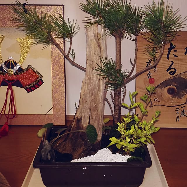 gooorinさんの実例写真