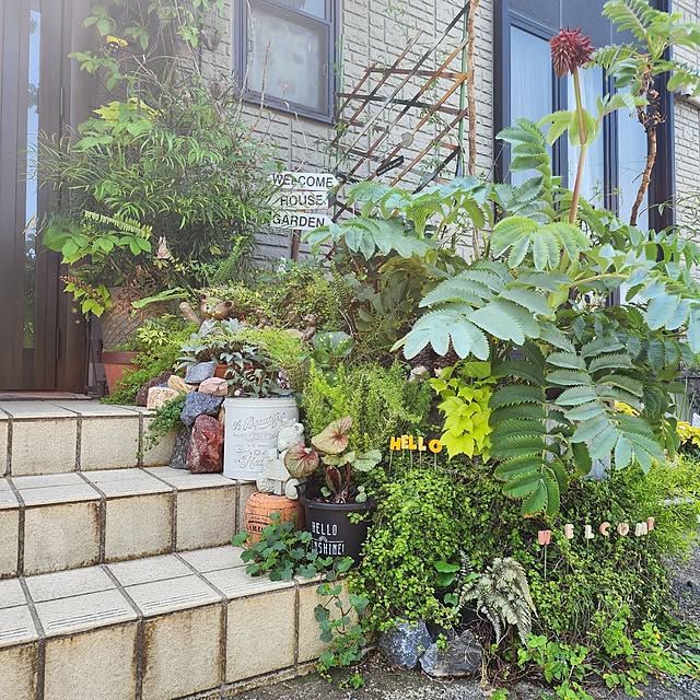 GreenHomeさんの部屋