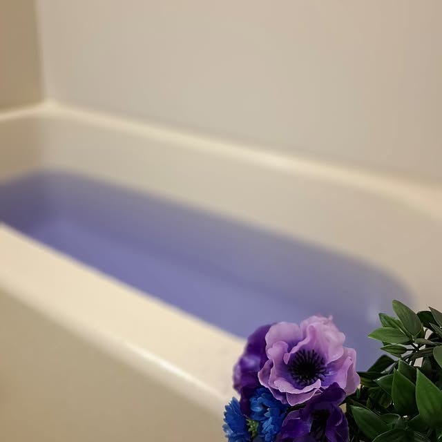 noaさんの実例写真