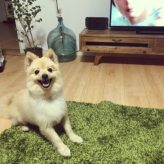 natsu910421さんの実例写真