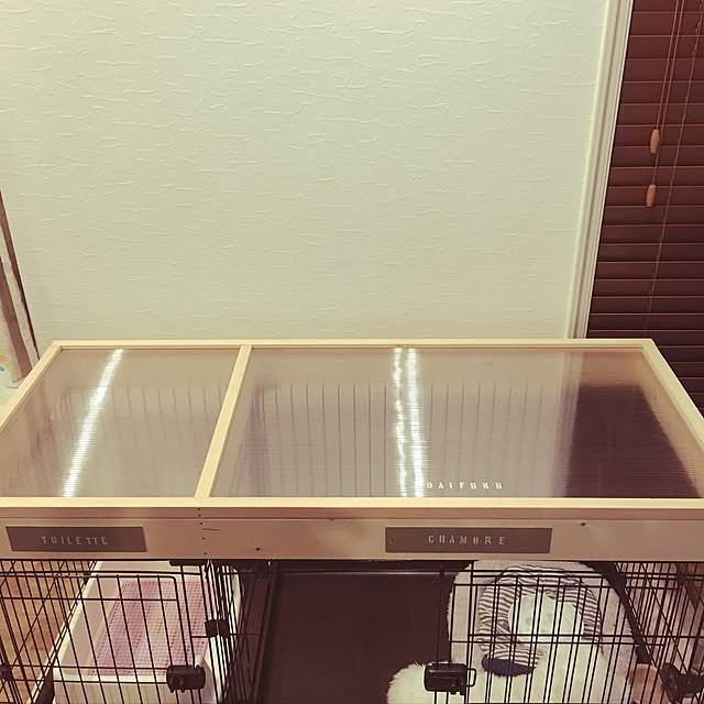 creamdaifukuさんの実例写真