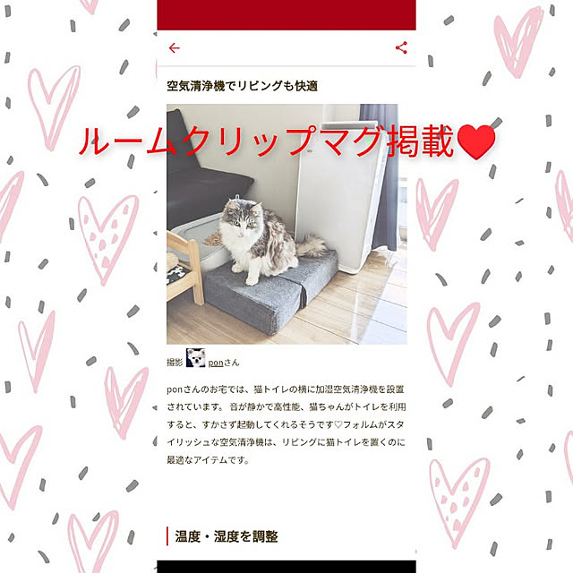 ponさんの実例写真