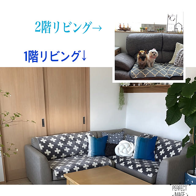 loliontoaliceveさんの実例写真