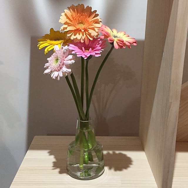 mameさんの実例写真