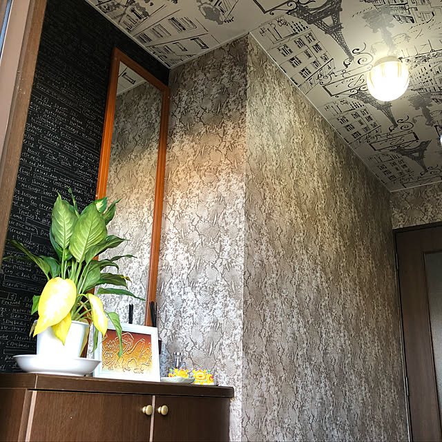 玄関/入り口/アクセントクロス/観葉植物のインテリア実例 - 2018-08-31 07:24:36