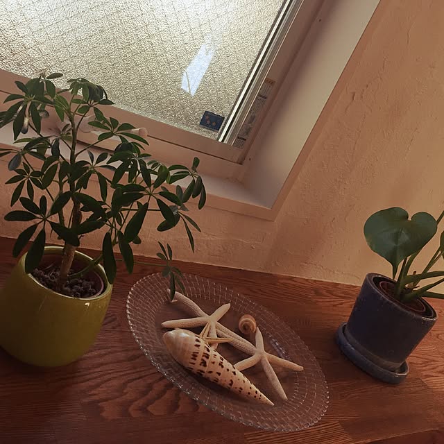 emirinさんの実例写真