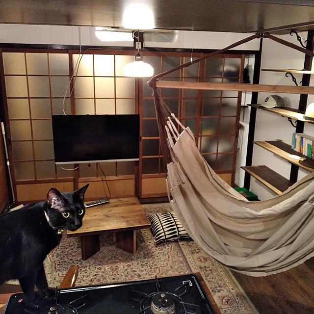 warpさんの実例写真