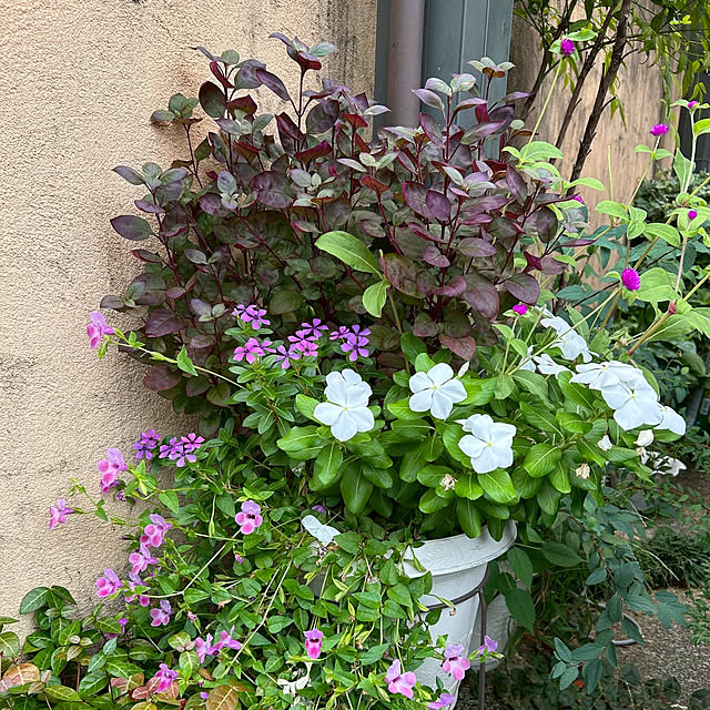 fumikoiさんの部屋