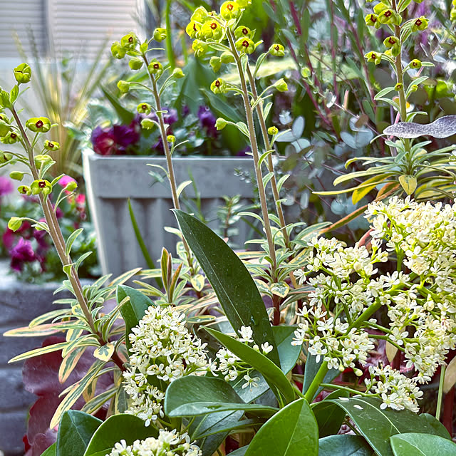 DAYONEさんの実例写真