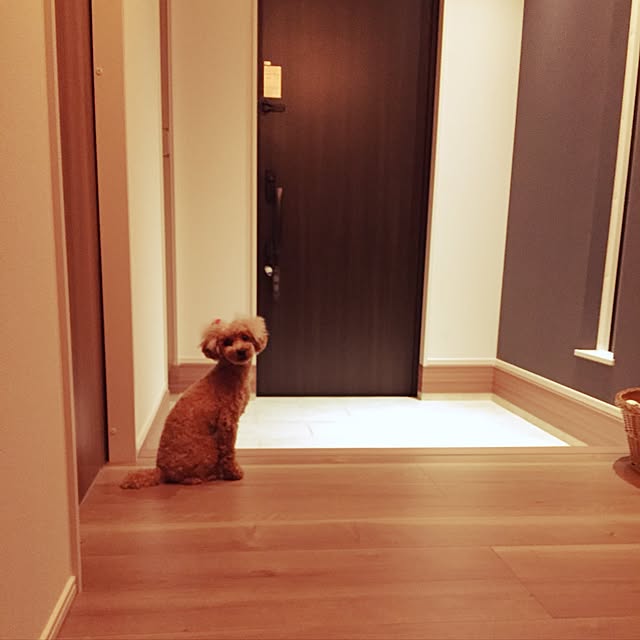 実例写真